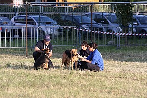 21/05/2010<br>Decennale - Giorno 7 (La popolazione)