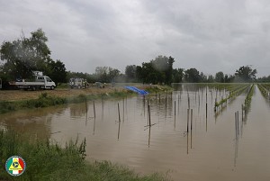 17/05/2023<br>Emergenza fiumi maggio 2023